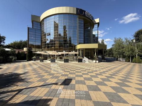 Bloc Nou! Spațiu comercial de închiriat, Râșcani, str. Florilor, 2600m². Euroreparație!: 13