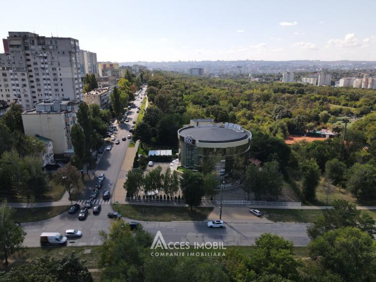 Bloc Nou! Spațiu comercial de închiriat, Râșcani, str. Florilor, 2600m². Euroreparație!: 15