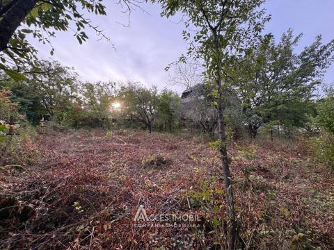 Дом! Думбрава, ул. Пэдуреца , 80м2 + 6 соток!: 1