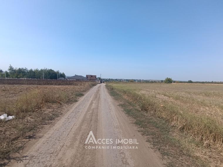 Teren pomicol 16 ari, Băcioi, str. Plugarilor!: 1