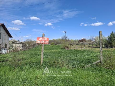 Teren pentru construcții 8 ari! Coșernița, str. Mihai Eminescu!: 1