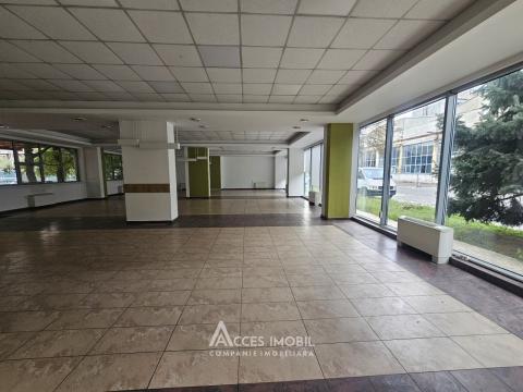 Аренда коммерческого помещения! Буюканы, ул. Каля Ешилор, 417 м². Aвтономное отопление!: 1