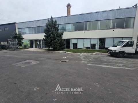 Аренда коммерческого помещения! Буюканы, ул. Каля Ешилор, 417 м². Aвтономное отопление!: 8