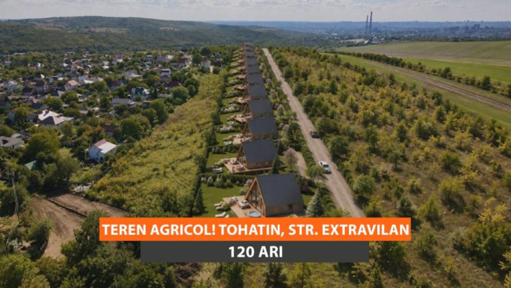 Teren agricol 120 ari, Tohatin, str. Extravilan!: 0