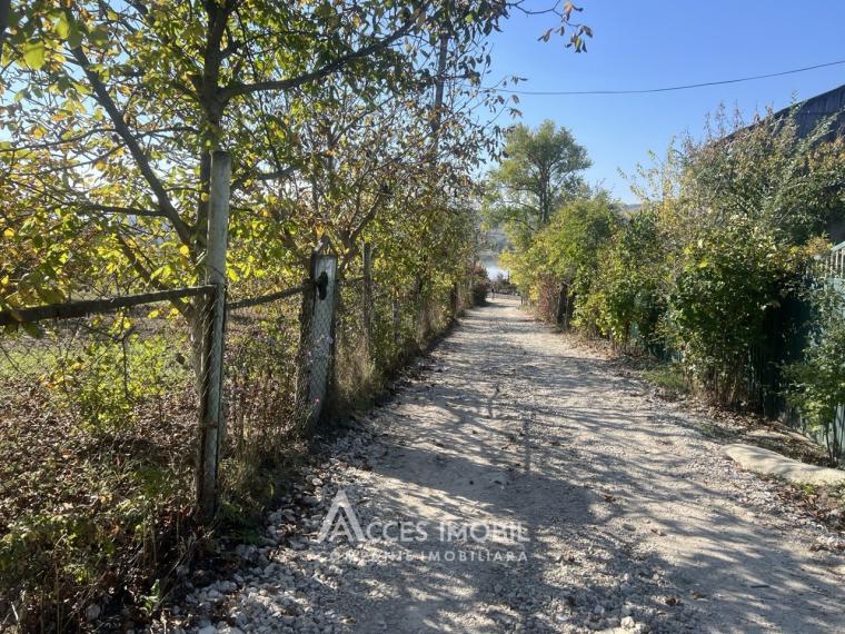 Teren grădină/pomicol 6 ari! Suruceni, str. IP Struguras!: 2