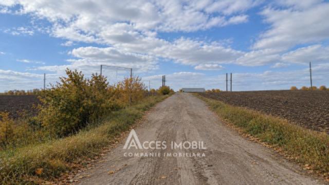 Terenuri de vânzare în Chișinău: Budești, str. Extravilan