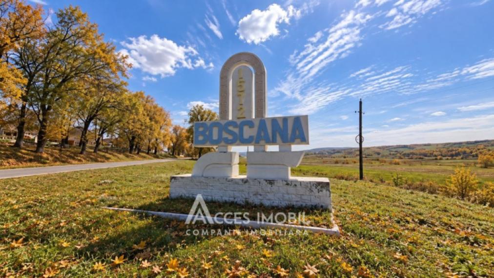 Lot de teren pomicol, 22 ari. Boșcana!: 0