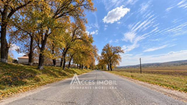 Lot de teren pomicol, 22 ari. Boșcana!: 2