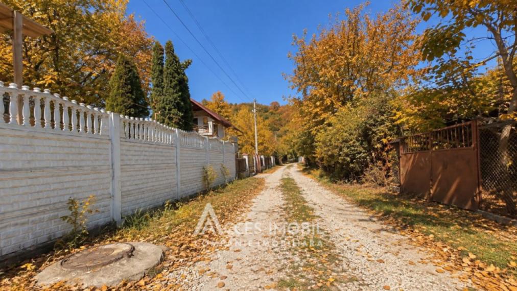 Lot de teren pomicol 6 ari! Pârâta, IP Flora!: 1