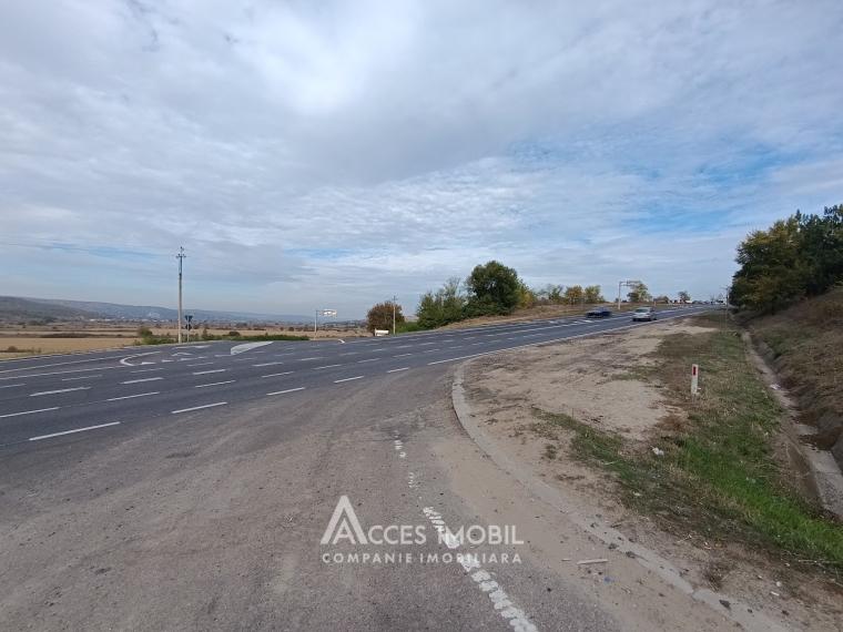 Teren agricol 90 ari! Bardar, Șoseaua Hincesti!: 1