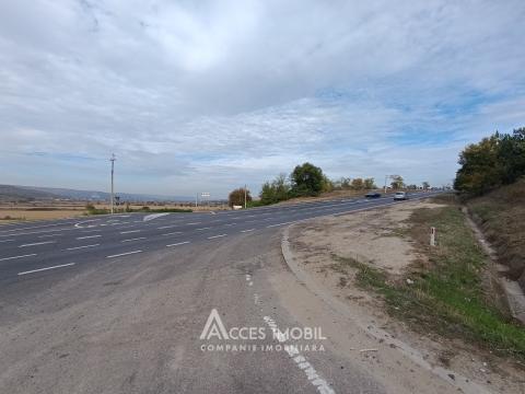 Teren agricol 90 ari! Bardar, Șoseaua Hincesti!: 1