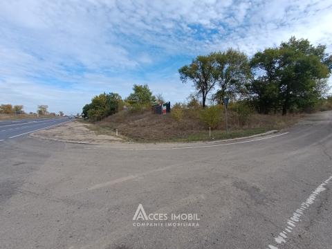 Teren agricol 90 ari! Bardar, Șoseaua Hincesti!: 2