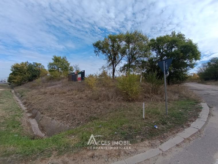 Teren agricol 90 ari! Bardar, Șoseaua Hincesti!: 0