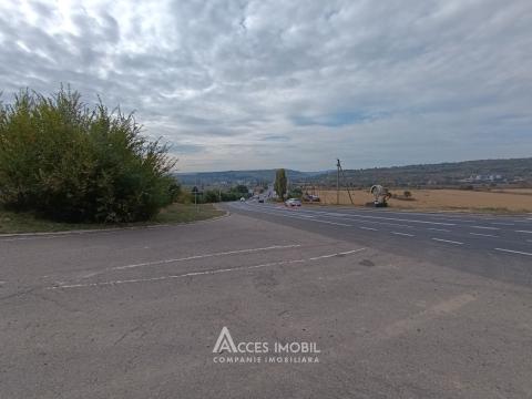Teren agricol 90 ari! Bardar, Șoseaua Hincesti!: 3