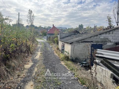 Teren grădină/pomicol 8 ari, Ialoveni!: 1