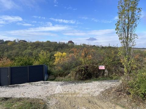 Teren grădină/pomicol 8 ari, Ialoveni!: 3