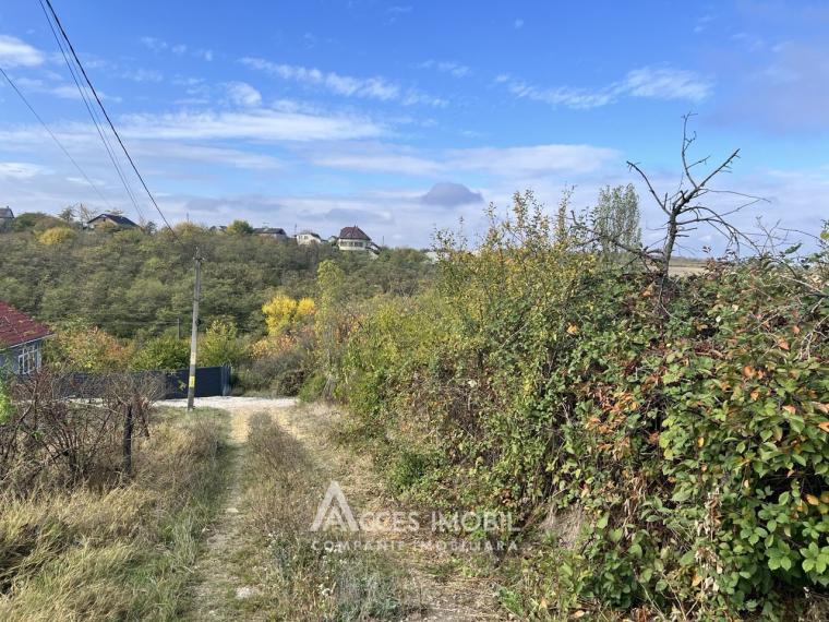 Teren grădină/pomicol 8 ari, Ialoveni!: 0