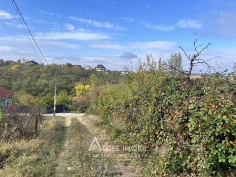 Teren grădină/pomicol 8 ari, Ialoveni!: 0