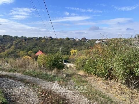 Teren grădină/pomicol 8 ari, Ialoveni!: 2