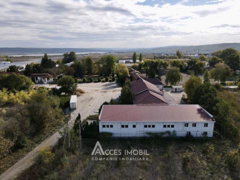 Продажа коммерческой недвижимости в Кишинёве: Кожушна, ул. Реваз Ломтадзе