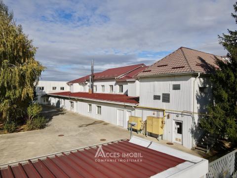 Коммерческое помещение! Кожушна, ул. Реваз Ломтадзе, 1270 м². Евроремонт! Автономное отопление!: 6