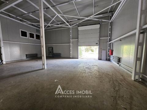 Коммерческое помещение! Кожушна, ул. Реваз Ломтадзе, 1270 м². Евроремонт! Автономное отопление!: 10