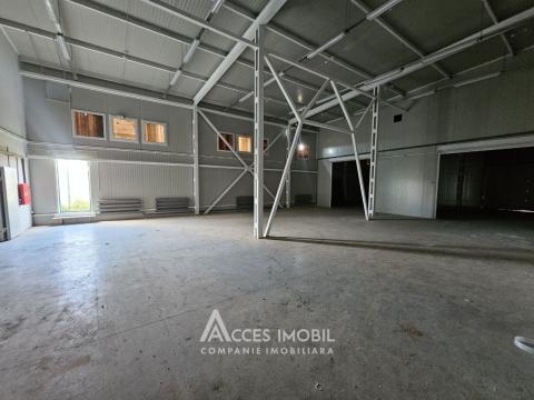 Коммерческое помещение! Кожушна, ул. Реваз Ломтадзе, 1270 м². Евроремонт! Автономное отопление!: 13