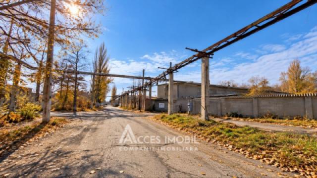 Spațiu Comercial 1022m2! Botanica, str. Muncești!: 6