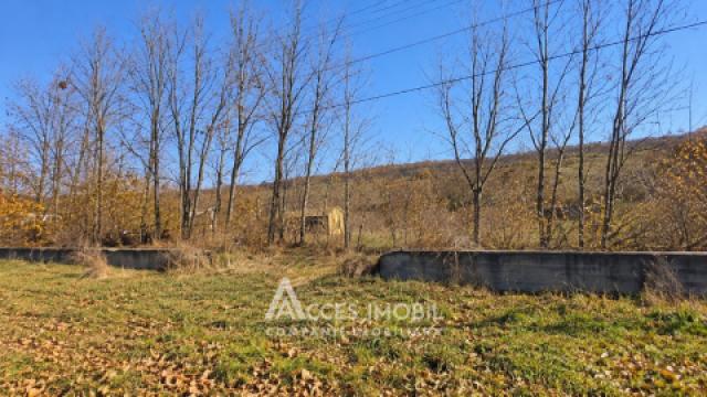 Lot de teren pomicol, 24 ari. Comuna Dolinnoe, satul  Valea Coloniţei!: 1