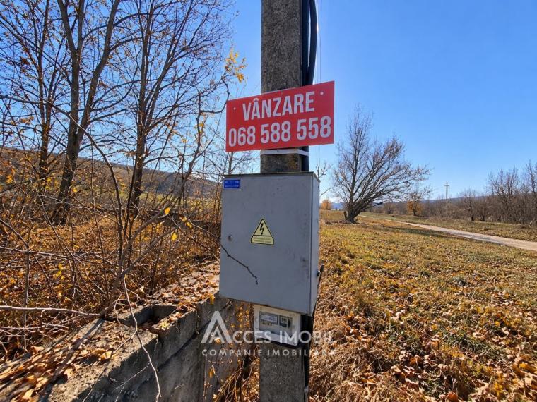 Lot de teren pomicol, 24 ari. Comuna Dolinnoe, satul  Valea Coloniţei!: 2
