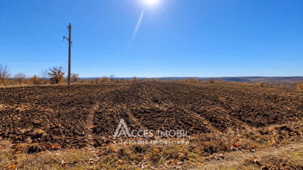 Teren agricol 33 ari! Budești!: 0