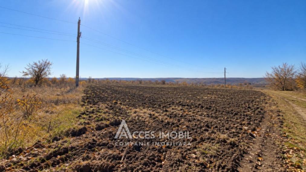Teren agricol 33 ari! Budești!: 1
