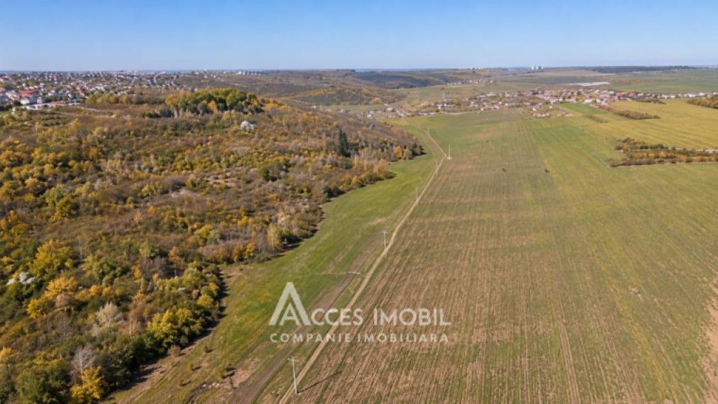 Teren agricol intravilan 40 ari! Tohatin, traseul M14!: 0