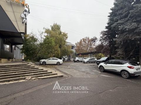 Ботаника, ул. Индепенденцей, 1 комната. Серия 143!: 19