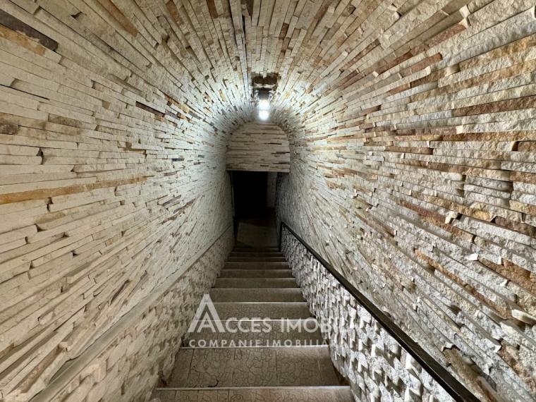 Casă în 4 nivele! Ciocana, str. Ion Dumeniuc, 450m2 + 6 ari! Euroreparație!: 28