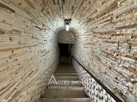 Casă în 4 nivele! Ciocana, str. Ion Dumeniuc, 450m2 + 6 ari! Euroreparație!: 28