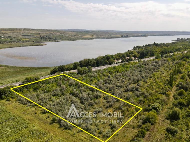 Agricultural land 100 aries! Cojusna, Straseni!: 1