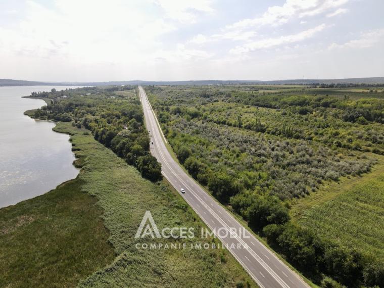 Agricultural land 100 aries! Cojusna, Straseni!: 2