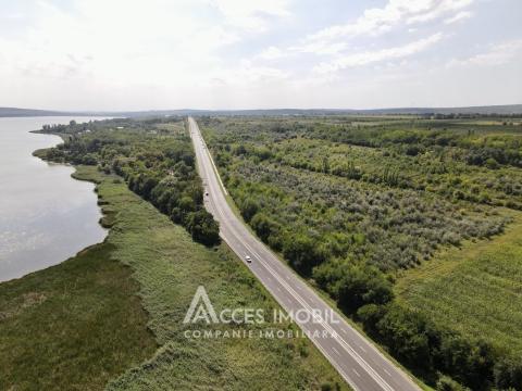 Agricultural land 100 aries! Cojusna, Straseni!: 2