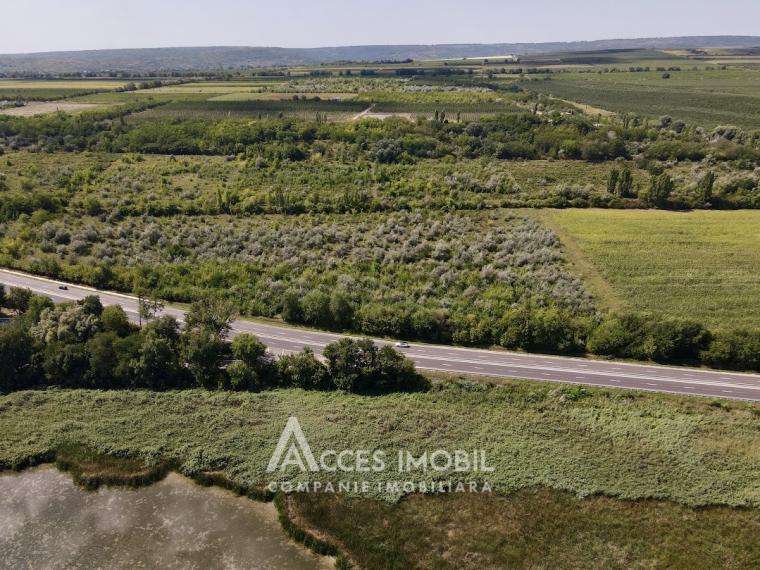 Agricultural land 100 aries! Cojusna, Straseni!: 4