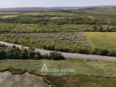 Agricultural land 100 aries! Cojusna, Straseni!: 4