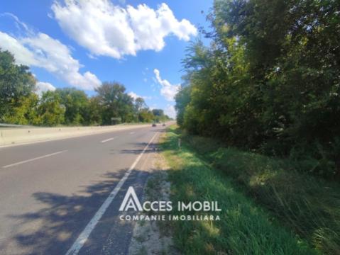 Agricultural land 100 aries! Cojusna, Straseni!: 5