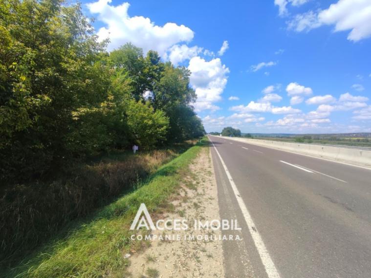 Agricultural land 100 aries! Cojusna, Straseni!: 6