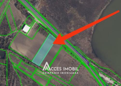 Agricultural land 100 aries! Cojusna, Straseni!: 7