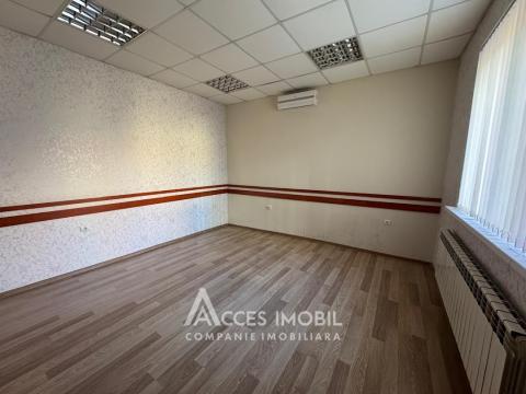 Chirie! Spațiu Comercial 250m2! str. Petru Movilă, Centru!: 8