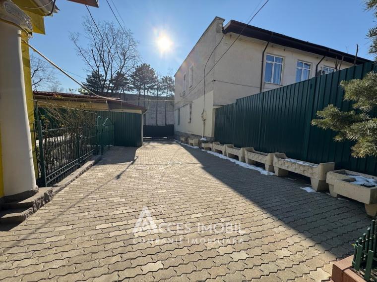 Chirie! Spațiu Comercial 250m2! str. Petru Movilă, Centru!: 15