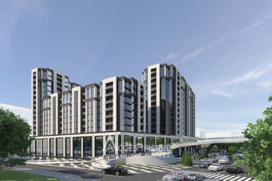 : Ботаника ул. Грэдина Ботаникэ