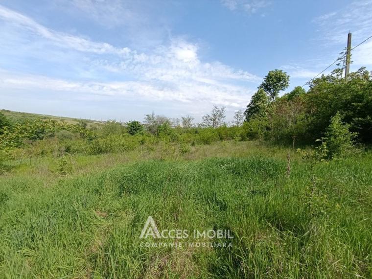 Teren pentru construcții 55 ari, Buiucani, str. Dragomirna!: 0