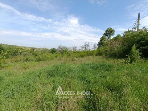 Terenuri de vânzare în Chișinău: Buiucani, str. Dragomirna