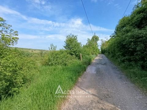 Teren pentru construcții 55 ari, Buiucani, str. Dragomirna!: 3